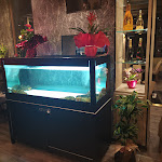 Photo n°1 de l'avis de Fabio.r fait le 29/12/2021 à 23:55 sur le  Aromatiko à Tivoli