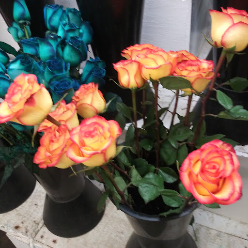 Florist «Century Flower Market», reviews and photos, 4701 W Century Blvd, Inglewood, CA 90304, USA