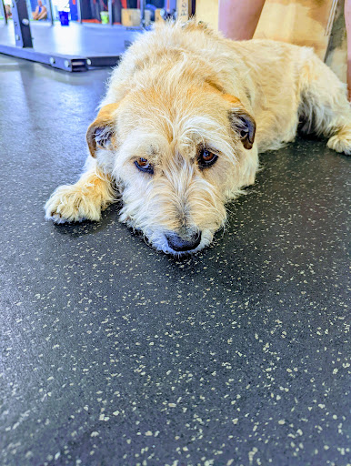 Gym «BURNfit Athletics», reviews and photos, 1984 Northgate Commerce Pkwy, Suffolk, VA 23435, USA