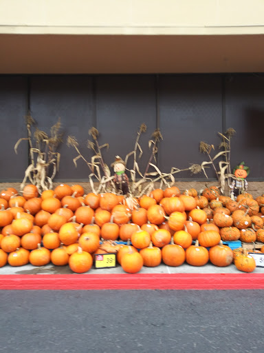 Grocery Store «Albertsons», reviews and photos, 6055 SW 185th Ave, Aloha, OR 97007, USA