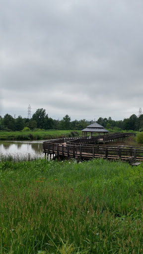 Park «Arrowbrook Park», reviews and photos, Field Point Rd, Herndon, VA 20171, USA