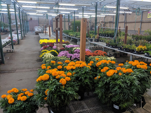 Hardware Store «Orchard Supply Hardware», reviews and photos, 2245 Gellert Blvd, South San Francisco, CA 94080, USA