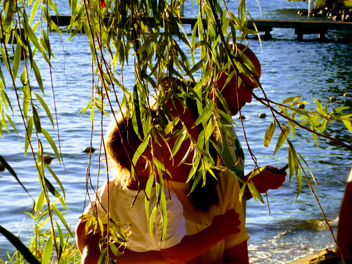 Park «Chism Beach Park», reviews and photos, 9600 SE 11th St, Bellevue, WA 98004, USA