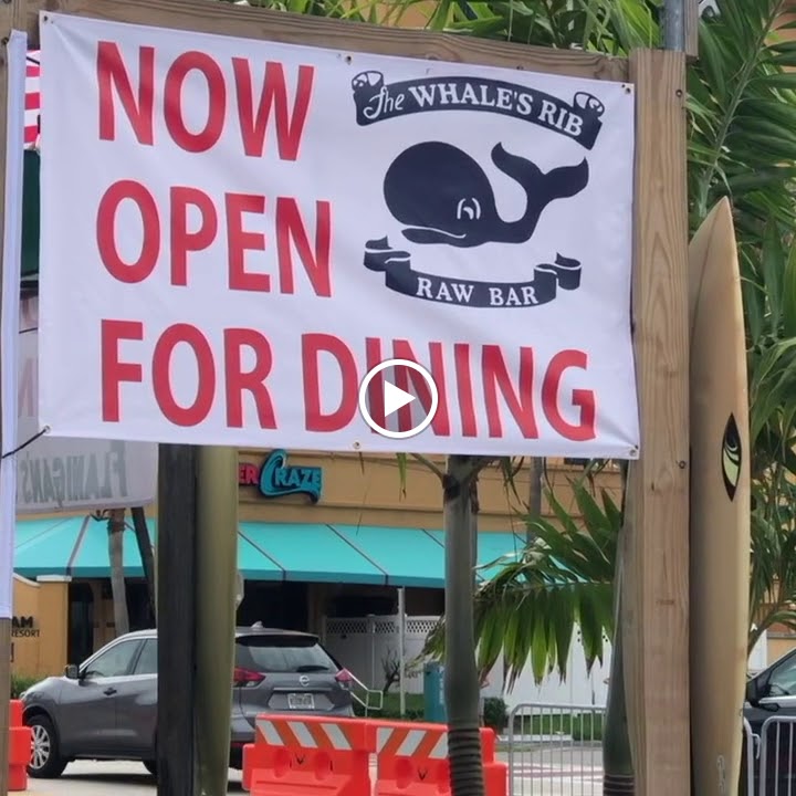 The Whale's Rib 33441