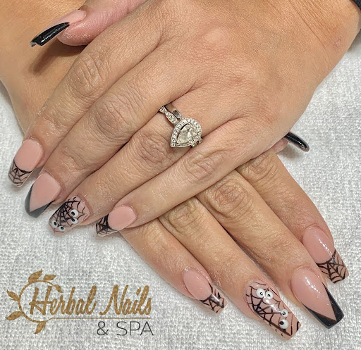 Nail Salon «Herbal Nails & Spa at Happy Valley», reviews and photos, 2501 W Happy Valley Rd #32, Phoenix, AZ 85085, USA