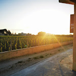 Photo n°1 de l'avis de Célestin.i fait le 20/06/2022 à 05:58 sur le  Villa Paradiso Mediterraneo à Marsala