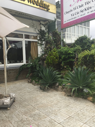 Top 6 cửa hàng afamily Quận Hồng Bàng Hải Phòng 2022