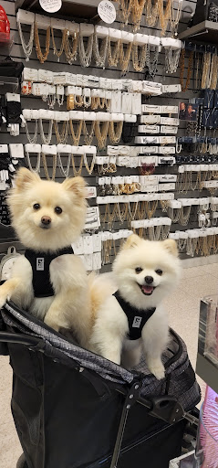 Find minotaur tattoo ideas for your next unique tattoo in Round Rock at Icing