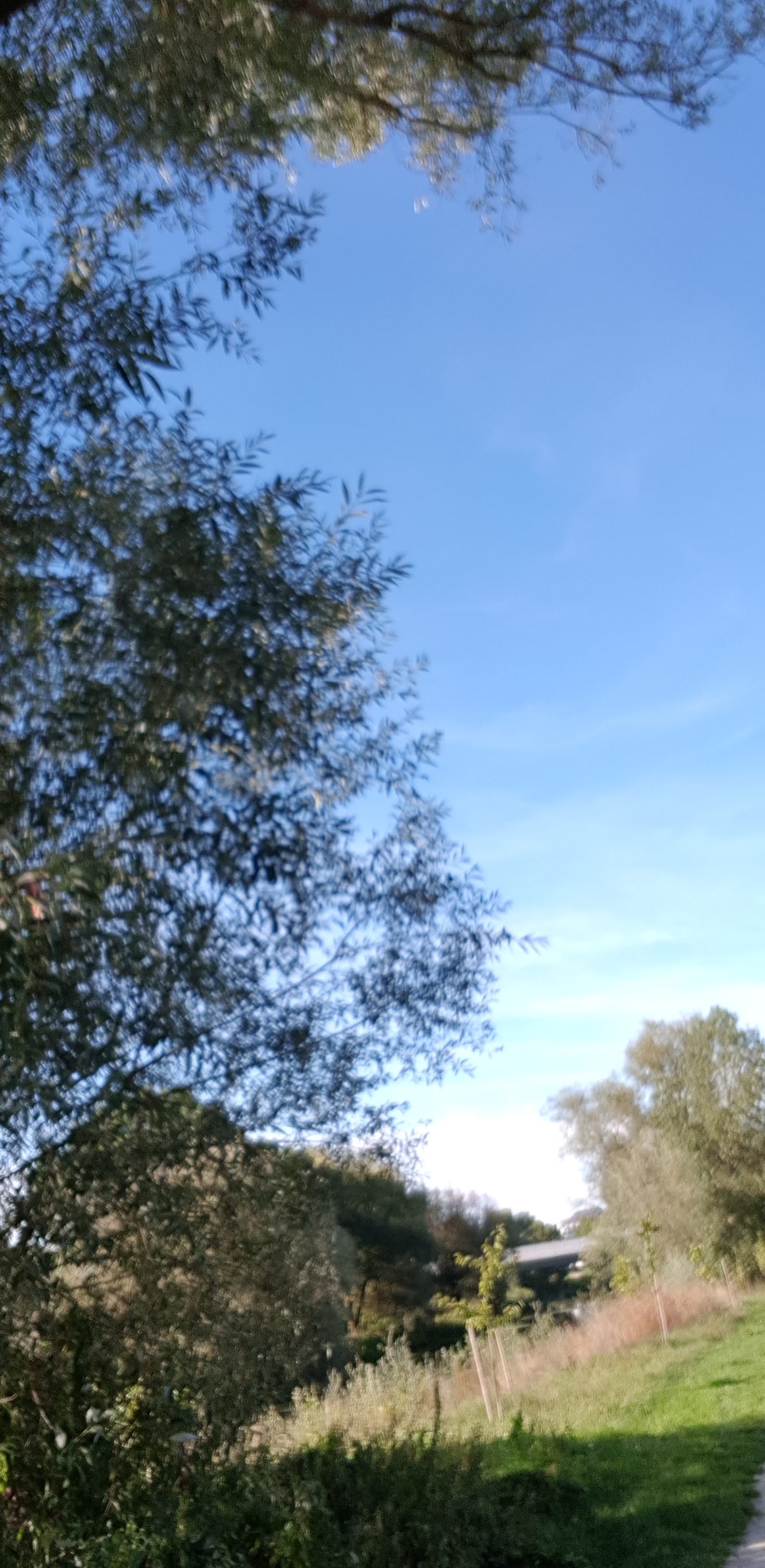 Photo n° 4 de l'avis de Thiry.h fait le 26/10/2018 à 16:26