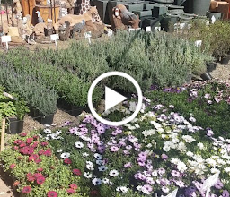 Eden Garden Centre photo