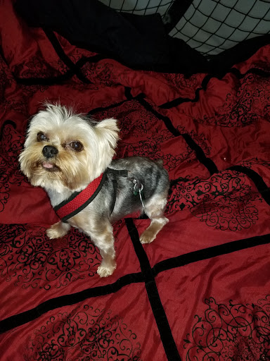 Pet Supply Store «Petco Animal Supplies», reviews and photos, 850 Statler Blvd, Staunton, VA 24401, USA