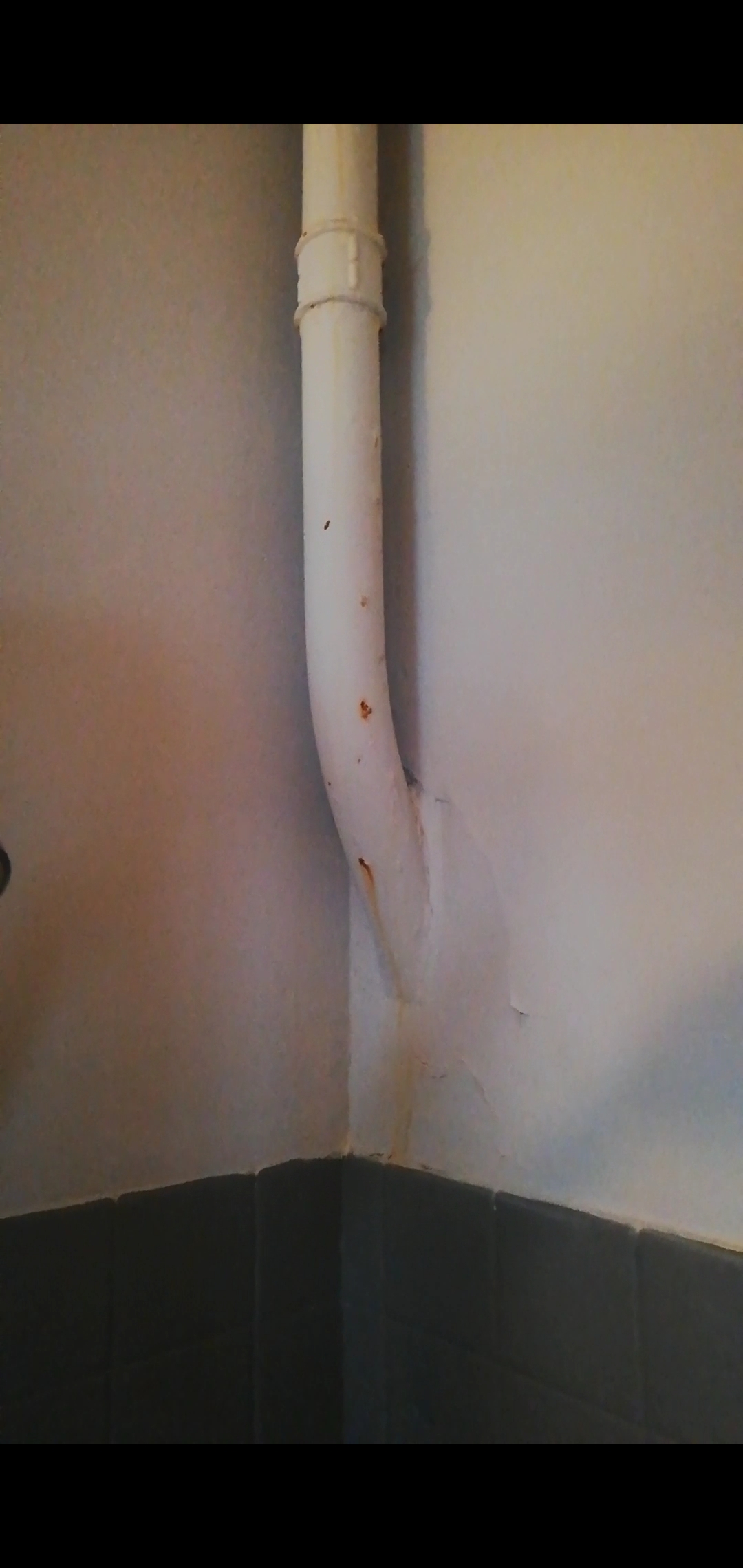 Photo n° 3 de l'avis de li.a fait le 21/11/2021 à 15:29