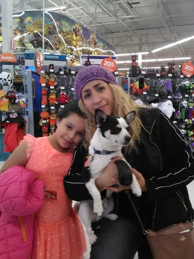 Pet Supply Store «Petco Animal Supplies», reviews and photos, 4012 W 27th Ave, Kennewick, WA 99337, USA