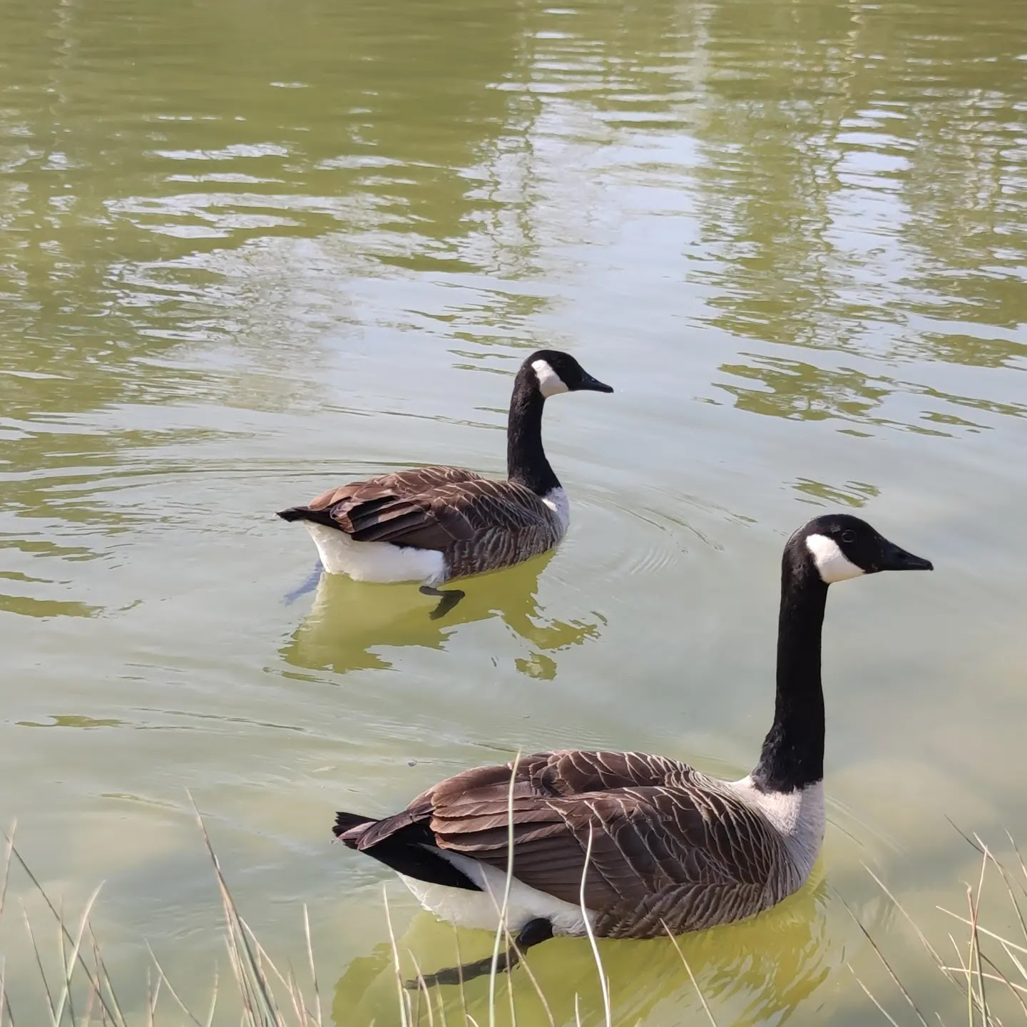 Photo n° 9 de l'avis de Javier.l fait le 20/03/2022 à 12:48