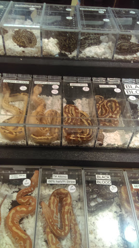 Reptile Store «Cleveland Reptile Show», reviews and photos, 17250 Hummel Rd, Brook Park, OH 44142, USA