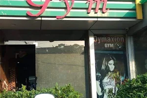 Dymaxion Gym image