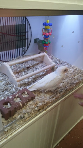 Pet Store «Fins Feathers Paws Claws», reviews and photos, 201 Station Rd, Quakertown, PA 18951, USA