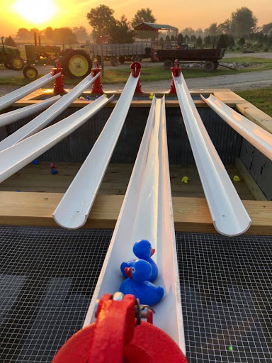 Christmas Tree Farm «Piney Acres», reviews and photos, 1115 E 1000 N, Fortville, IN 46040, USA