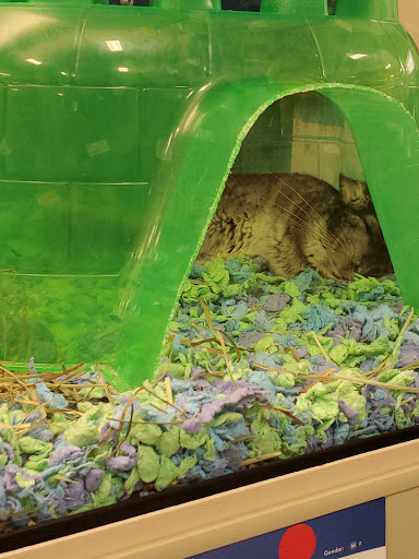 Pet Supply Store «PetSmart», reviews and photos, 170 Marketplace Blvd, Hamilton Township, NJ 08691, USA