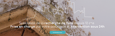 Expertis' Recherche de fuite à Oloron-Sainte-Marie