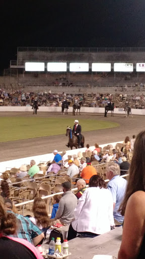 Stadium «Calsonic Arena», reviews and photos, 721 Whitthorne St, Shelbyville, TN 37160, USA