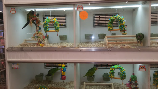 Pet Store «Fins Feathers Paws Claws», reviews and photos, 201 Station Rd, Quakertown, PA 18951, USA