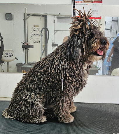 Imagen de Rastas Coes peluquería y estética canina
