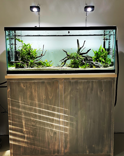 Tropical Fish Store «Glasscages.com LLC», reviews and photos, 1500 E Piney Rd, Dickson, TN 37055, USA