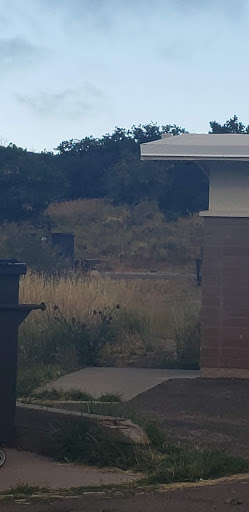 Campground «Morefield Campground», reviews and photos