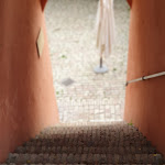 Photo n°8 de l'avis de Antonio.i fait le 01/11/2021 à 15:56 sur le  Masseria Sant'Agapito - A Rural Odyssey à Lucera