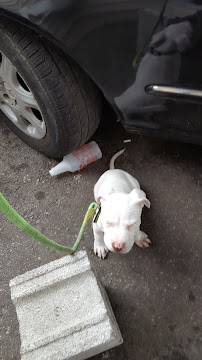 Wyoming Auto Repair - Photo 2 - Car repair in Philadelphia, PA, Philadelphia