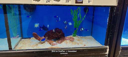 Pet Supply Store «Petco Animal Supplies», reviews and photos, 13691 Ridgedale Dr, Minnetonka, MN 55305, USA