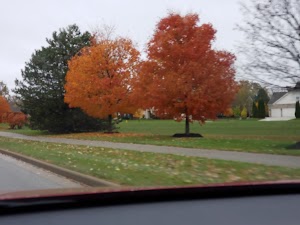 Founders Park - photo 63