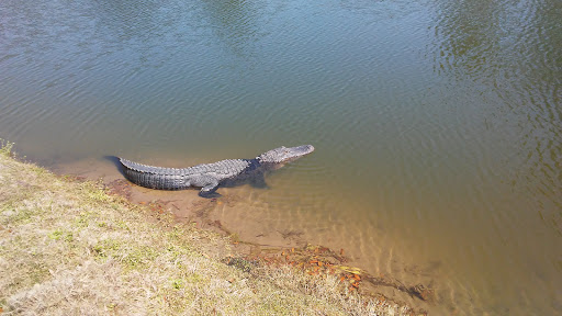 Golf Club «May River Golf Club», reviews and photos, 350 Mt Pelia Rd, Bluffton, SC 29910, USA