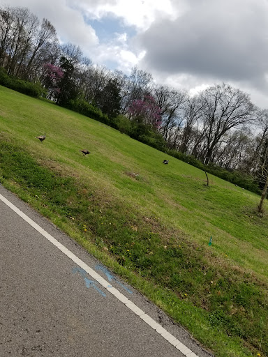 State Park «Radnor Lake State Park», reviews and photos, 1160 Otter Creek Rd, Nashville, TN 37220, USA