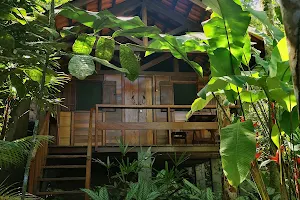 Trindade Sea and Forest Yoga Hostel image