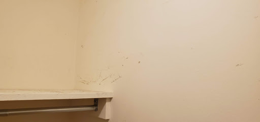 House Cleaning Service «AccessMaids Chicago Cleaning Service», reviews and photos, 1016 W Jackson Blvd, Chicago, IL 60607, USA