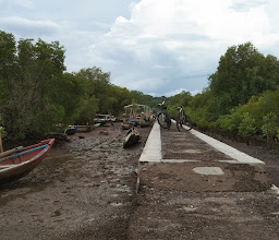 Taman MANGROVE Bedul photo