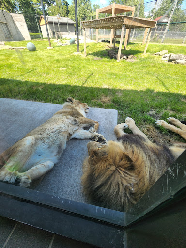 Zoo «NEW Zoo & Adventure Park», reviews and photos, 4378 Reforestation Rd, Green Bay, WI 54313, USA