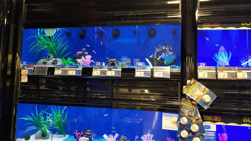 Pet Supply Store «PetSmart», reviews and photos, 23271 Eureka Rd, Taylor, MI 48180, USA