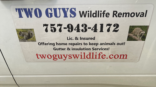 Two guys wildlife removal
