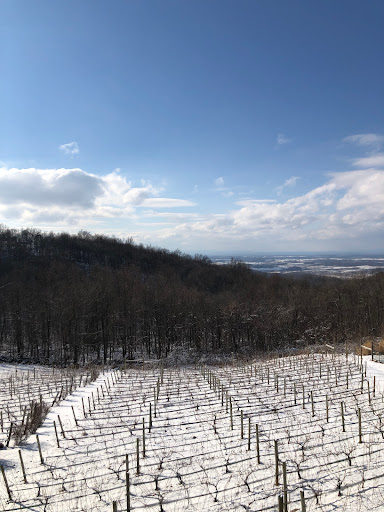 Winery «Twin Oaks Tavern Winery», reviews and photos, 18035 Raven Rocks Rd, Bluemont, VA 20135, USA