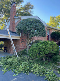 Benjamin R LLC. Landscape and Tree Service - Photo 2 - Car repair in , Roanoke