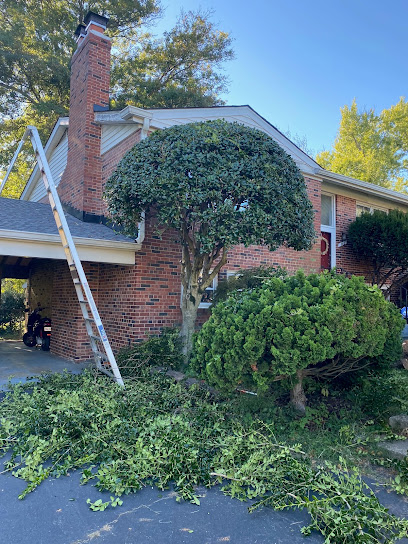 Benjamin R LLC. Landscape and Tree Service