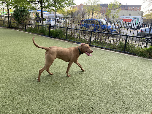 Photo of Kensington Dog Run