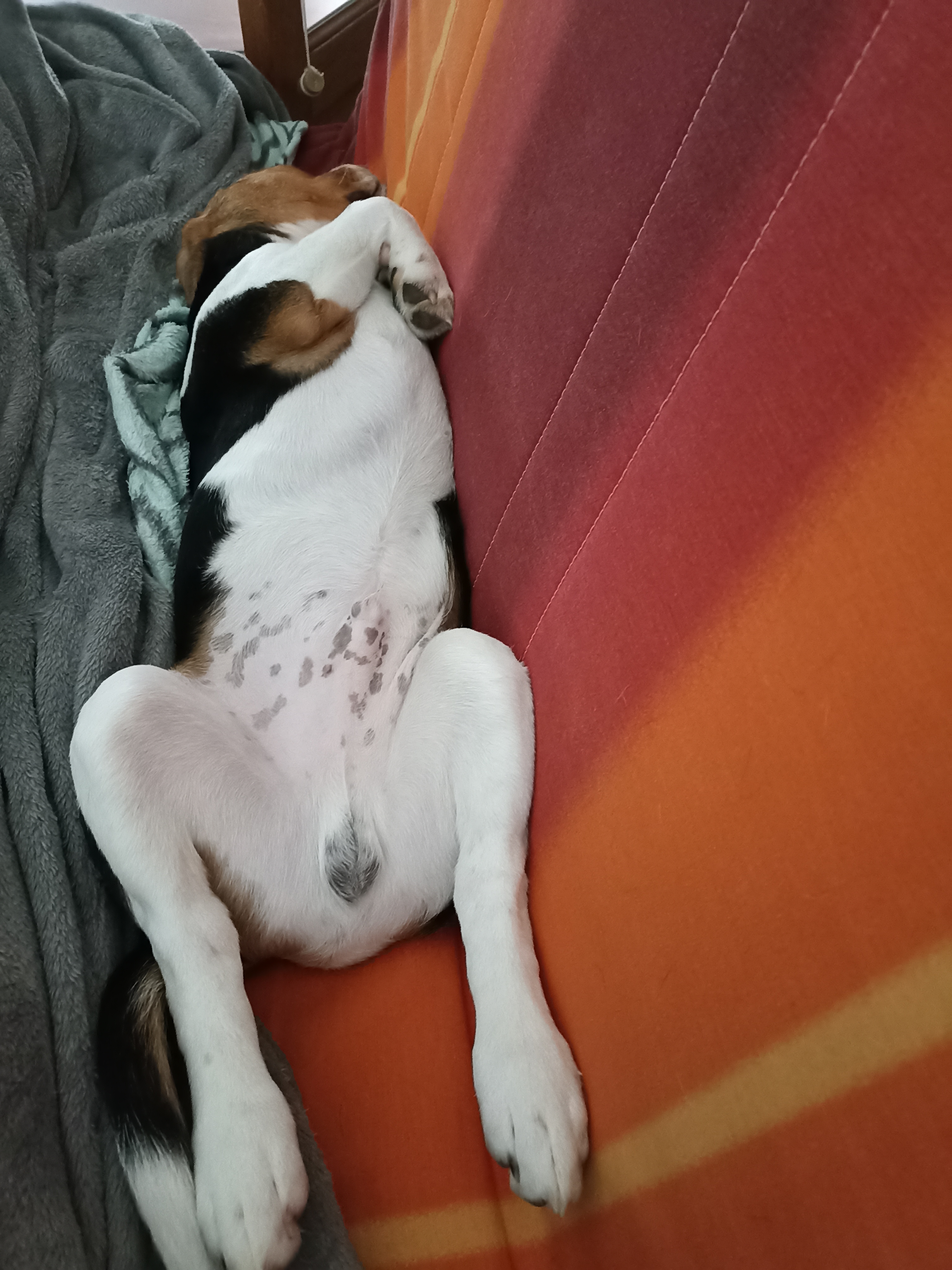 Photo n° 1 de l'avis de Celine.o fait le 22/10/2022 à 12:48