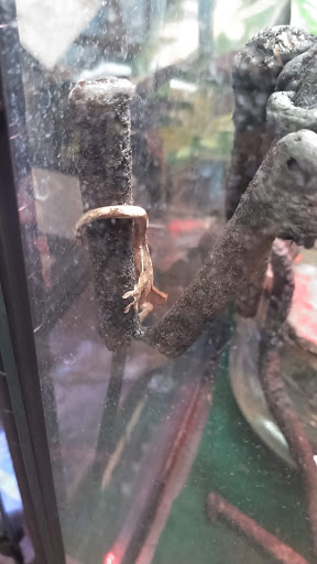 Pet Supply Store «Best Pets», reviews and photos, 905 Washington Ave, Detroit Lakes, MN 56501, USA