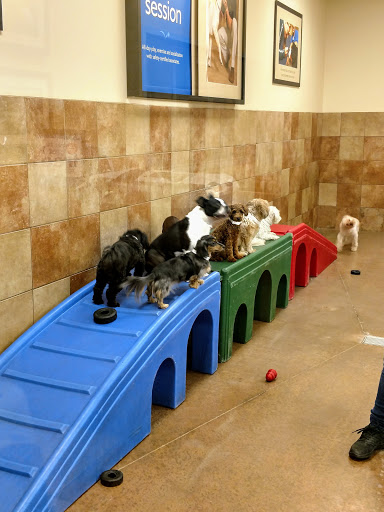 Pet Supply Store «PetSmart», reviews and photos, 1140 W Elliot Rd, Tempe, AZ 85284, USA