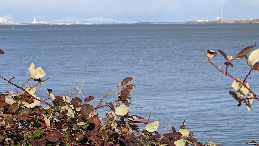 Park «Fox Point State Park», reviews and photos, Hay Road, Wilmington, DE 19809, USA