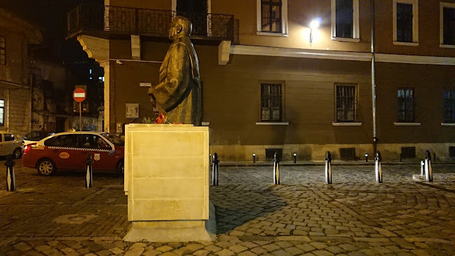 Statuia lui Constantin Daicoviciu - <nil>